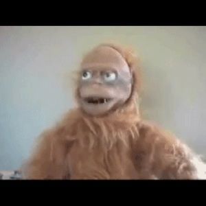 Meet your Posher, Rayleen